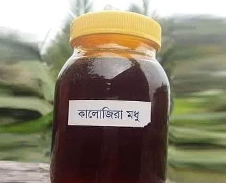 কালোজিরা ফুলের মধু--Black Seed Honey 1 kg